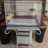 gabbia per uccelli/ pappagalli