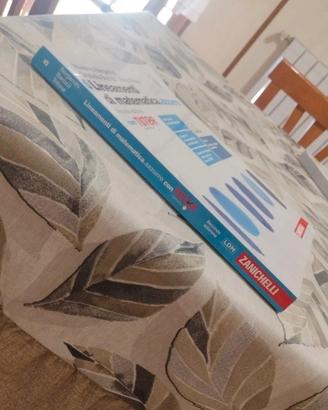 lineamenti di matematica 5 azzurro 