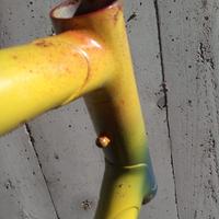 due telai particolari  corsa vintage e mtb 