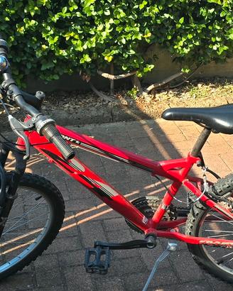 bicicletta 🚲 per ragazzi 
