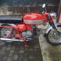Ala verde 250