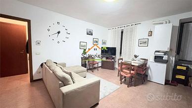 BILOCALE + BOX E CANTINA