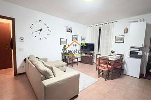 BILOCALE + BOX E CANTINA