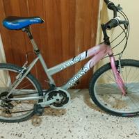 bicicletta 