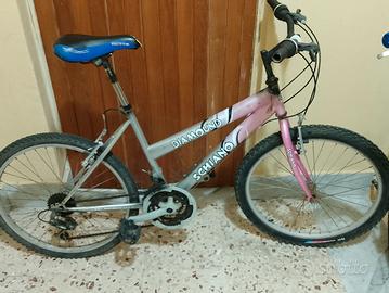 bicicletta 