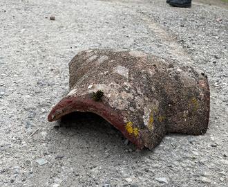 Trevie - Cementegola Terranova Bracciolini (AR)