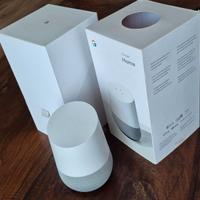 Google Home Smart Assistant