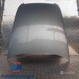 COFANO ANTERIORE AUDI A6 C6 (04-08) 2004-2008