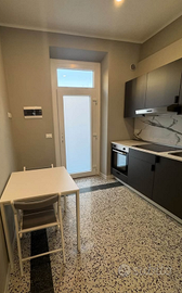 CORSO DUCA DEGLI ABRUZZI AMPIO BILOCALE