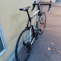 cannondale caad8