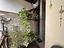 Immagine 7