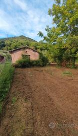 Terreno agricolo palestrina