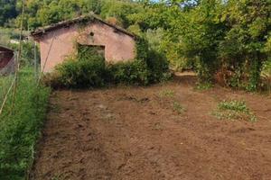Terreno agricolo palestrina