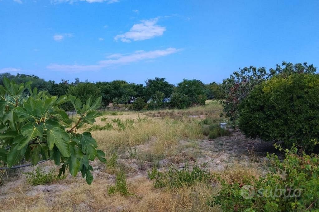 Terreno di 14000 m² a Badolato - Vista 5