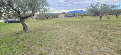 COLLECORVINO TERRENO EDIFICABILE