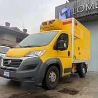 Fiat Ducato 2.3/DOPPIA CELLA/FRA/FRIGO/2018