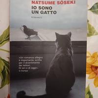 Libro autore Natsume Soseki