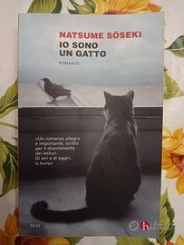 Libro autore Natsume Soseki