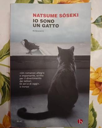Libro autore Natsume Soseki