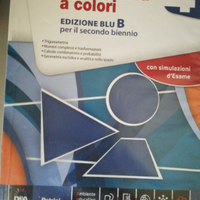 Libro di testo per liceo