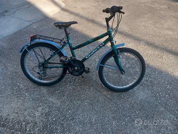 Bicicletta bambina cerchio da 20