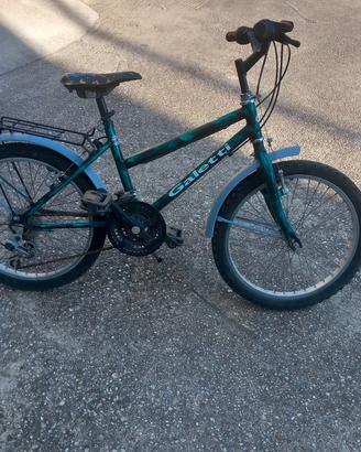 Bicicletta bambina cerchio da 20
