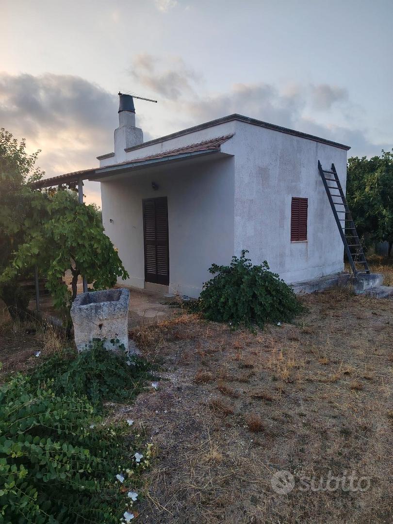 Uliveto a pochi centinai di metri dal paese - Vista 2