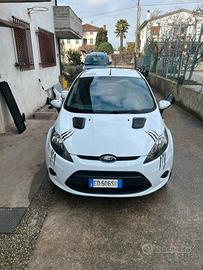 Ford fiesta neopatentati