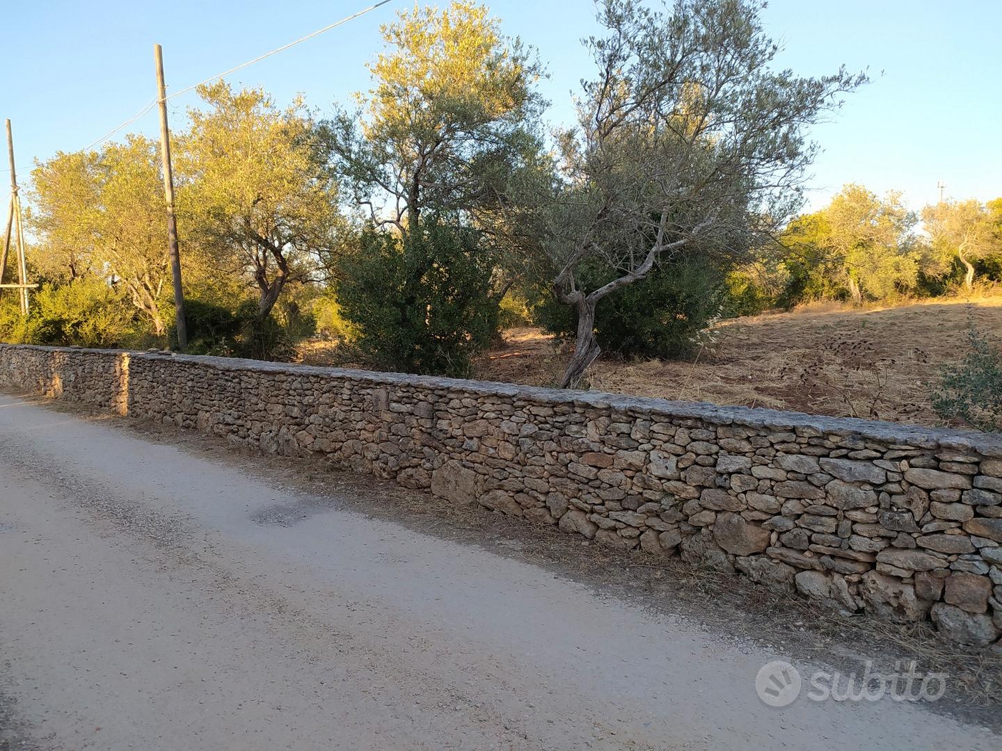 Terreno mq. 6000 - Sassari- loc. Pischina Ruia - Altro