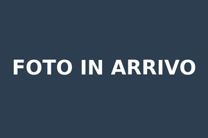 VW Polo 6R 1.6 TDI R-Line DSG Automatico