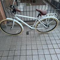 Bici Versiliana