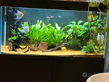 Acquario Optiset 200lt aquael.