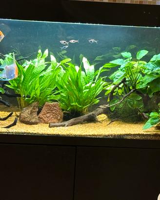 Acquario Optiset 200lt aquael.