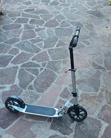 monopattino professionale 