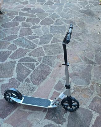 monopattino professionale 
