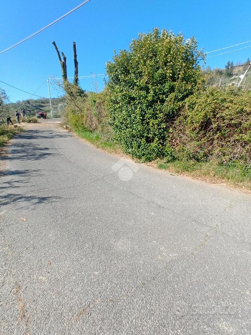 RUSTICO A OLEVANO ROMANO - Vista 3