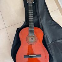 Chitarra acustica Ashton