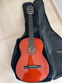 Chitarra acustica Ashton