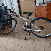 bicicletta bambino 
