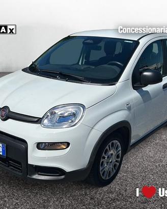 FIAT Pandina New PANDA Panda Serie 7 1.0 70cv...