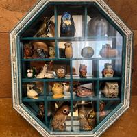 Bacheca con gufi e civette