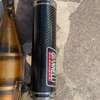 Giannelli shot v4