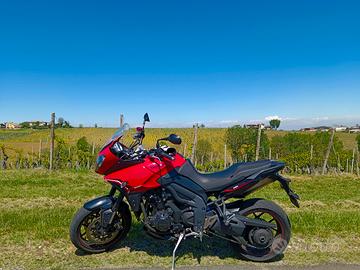 Tiger 1050 sport