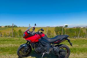 Tiger 1050 sport