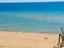 Immagine 9