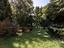 Immagine 12