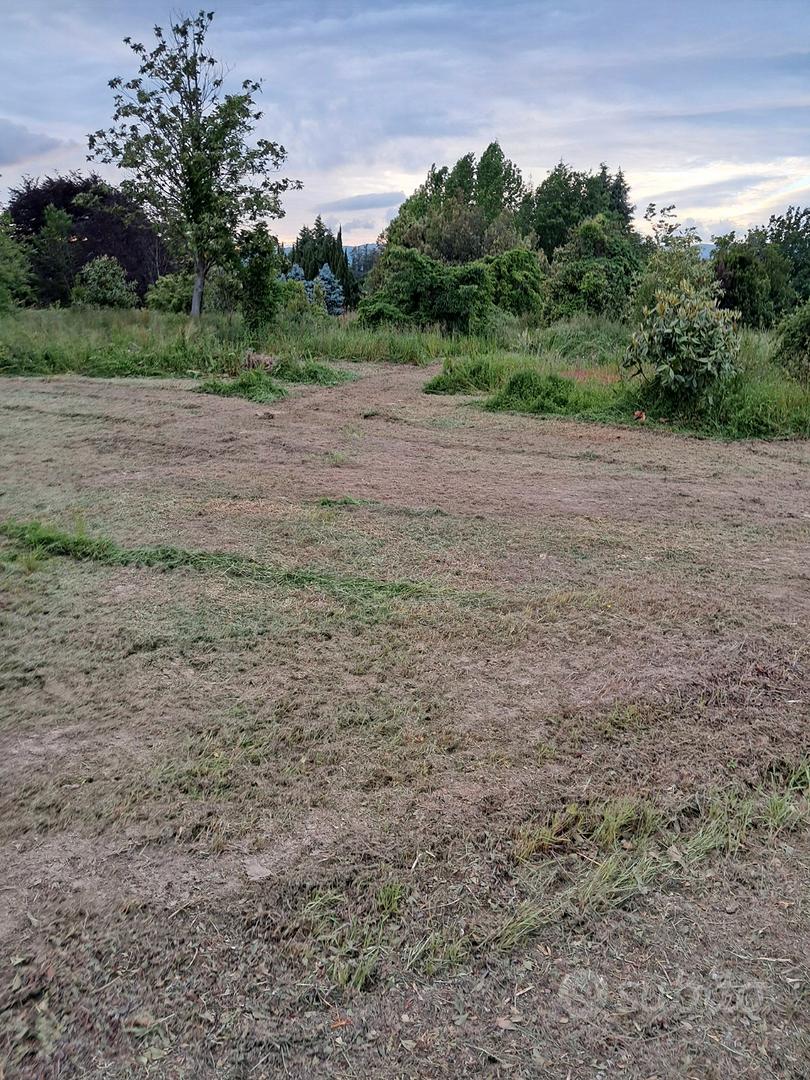 Terreno per uso vivaistico - Vista 3