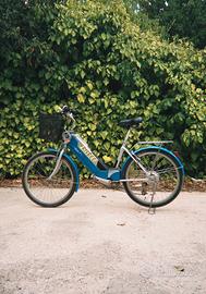 eBike Frisbee Euro 7