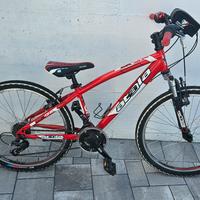 MTB taglia 24 