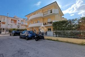 MULTILOCALE A PINETO